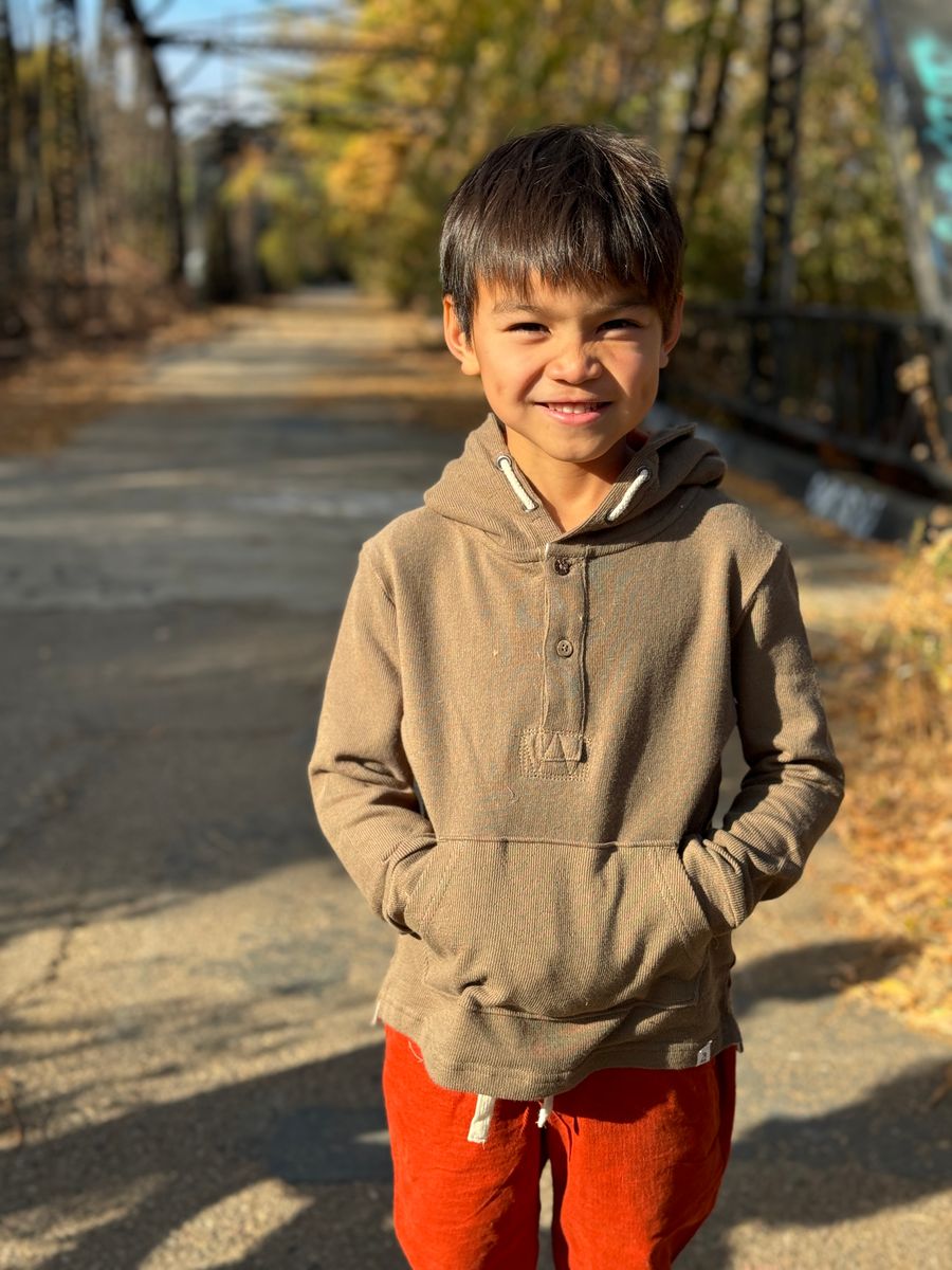 Brown Simon Hooded Top